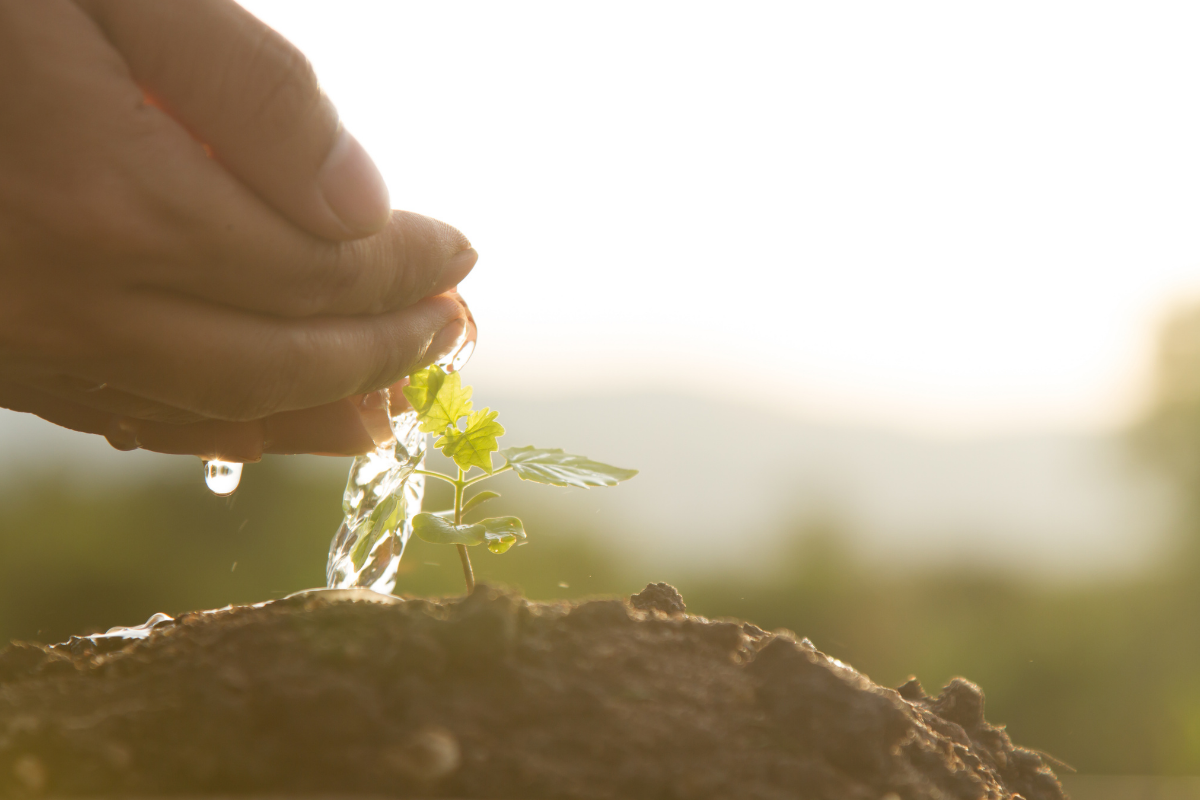How to Spot Greenwashing: a Primer on Product Labeling