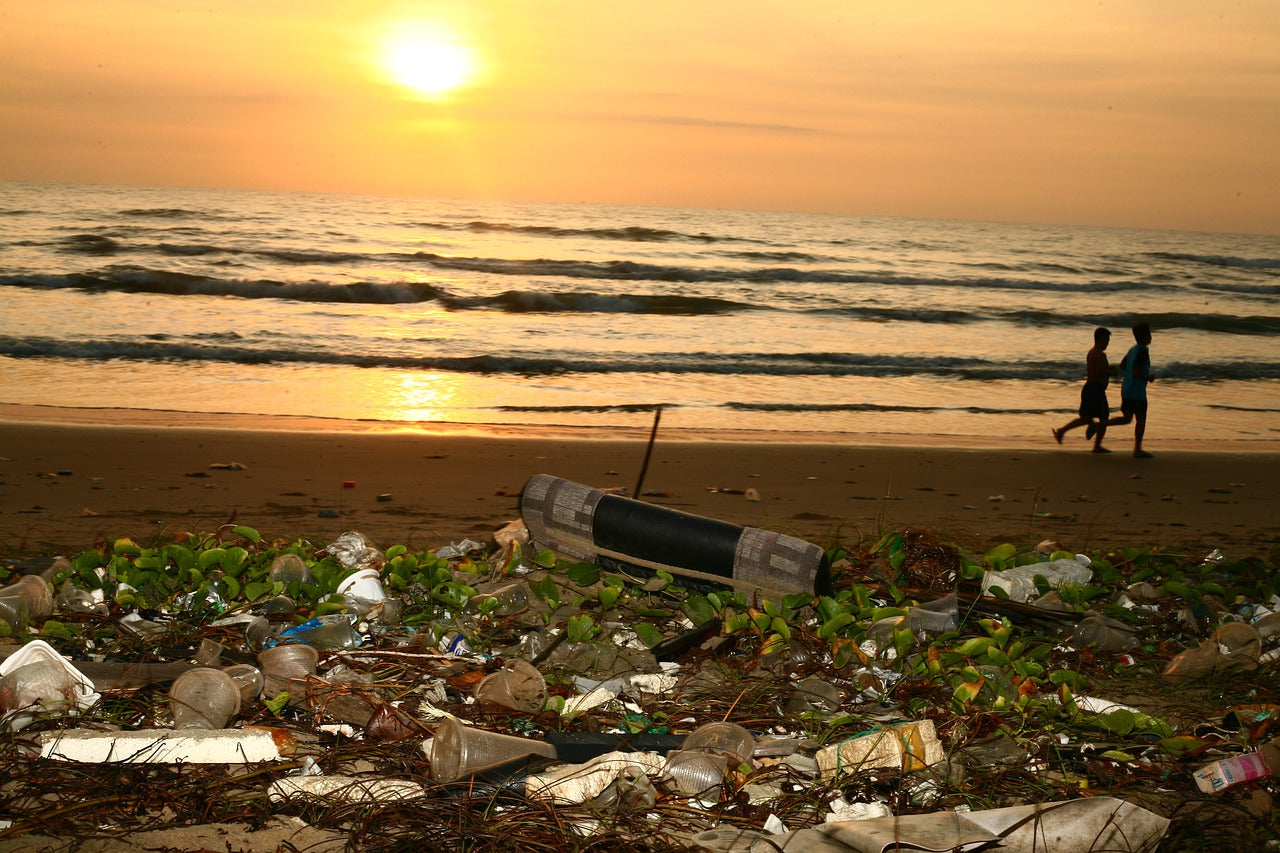 NEWS: States Banning Single-Use Plastic